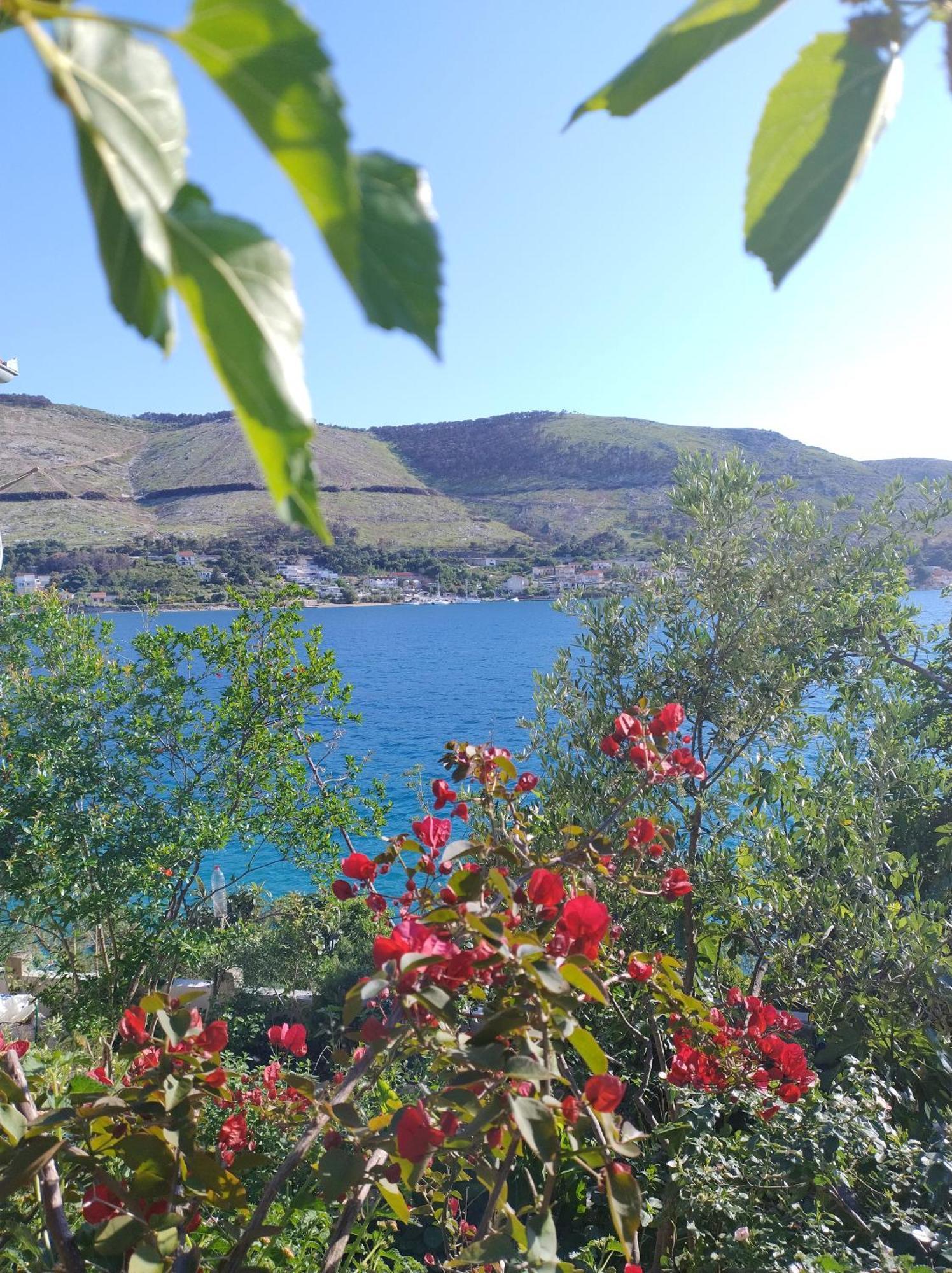 Direkt Na Moru - Bungalov Apartment Šibenik Exterior foto